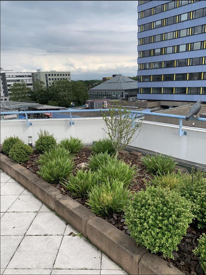 Im Herzen Von Wiesdorf- Blick Auf Das Bayer-Kreuz -Appartement Mit 2 Schlafzimmern-Fuer 3 Personen -Zentral Gelegen - Friedrich Ebert Platz 5A , 4Te Etage - Dachterrasse Und Sauna - Kaution Pflicht - ليفركوزن المظهر الخارجي الصورة